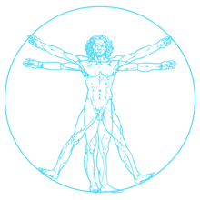 vitruvian_220_220